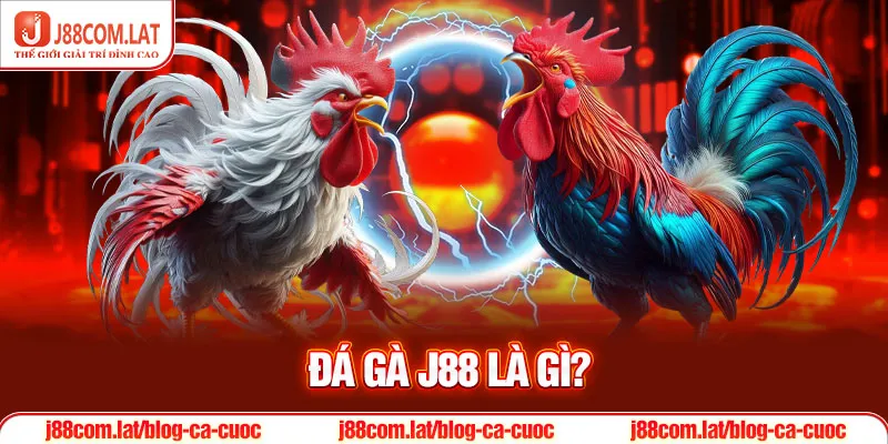 Đá gà J88 - Trải nghiệm cá cược tuyệt đỉnh nhất 2025 1 Đá gà J88 là gì?